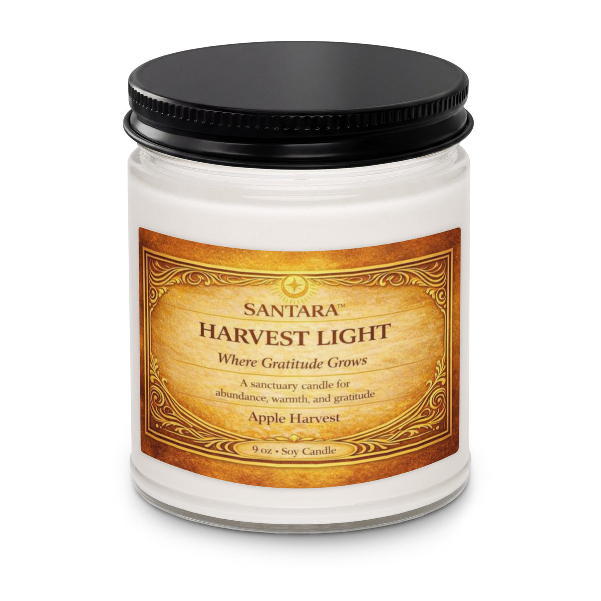 HARVEST LIGHT — Where Gratitude Grows