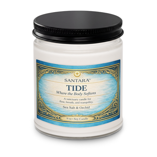 TIDE — Where the Body Softens